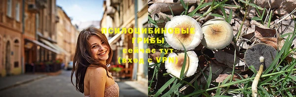 apvp Абдулино