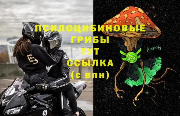 трава Алексин