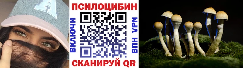Галлюциногенные грибы мицелий  Элиста 