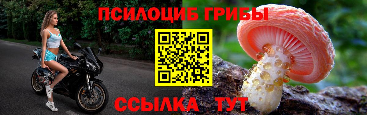 Галлюциногенные грибы Magic Shrooms Элиста