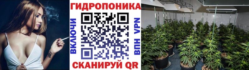 mega ONION  цена   Элиста  МАРИХУАНА AK-47 